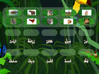 Animals (in arabic)