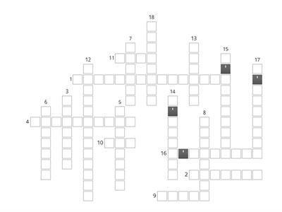 woordenschat frans examen