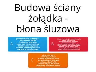 Budowa żołądka zwierząt