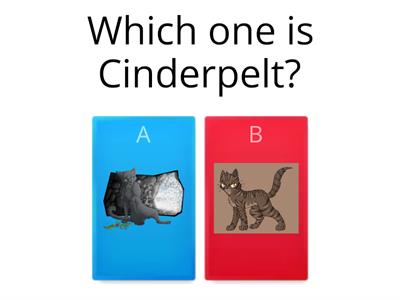 How well do you know Cinderpelt from warrior cats?