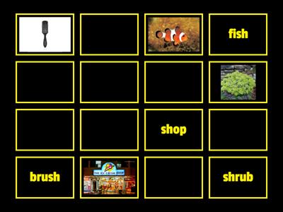 Match the picture to the word - /sh/