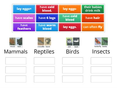 animal families