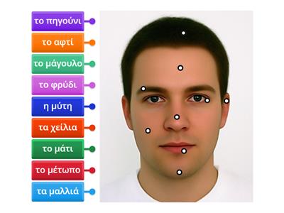 Το κεφάλι - Labelled Diagram