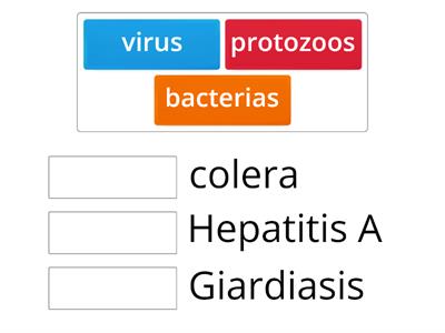 Unir la enfermedad con el organismo que la genera