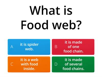 Food chain - food web