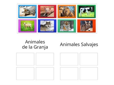 Clasifica los Animales