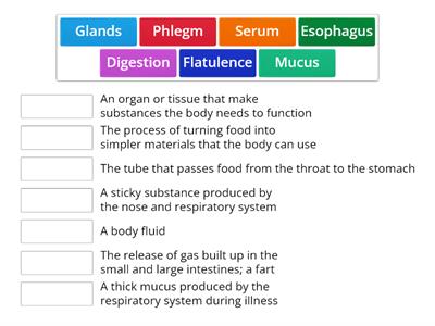 That's Gross (Gold 161-T) Vocab