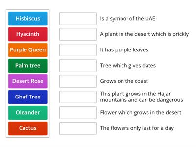 Plants in the UAE