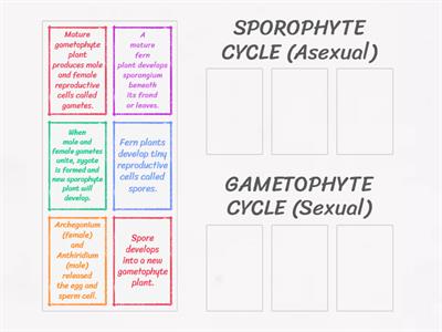 Sort the following stages in a life cycle of fern into its proper column.