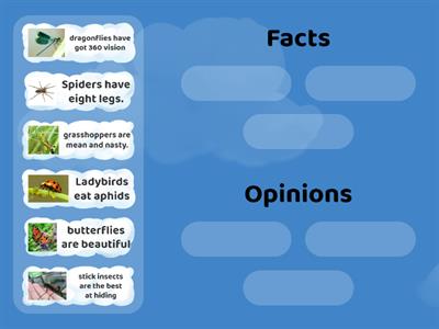 Fact and Opinion on insects 