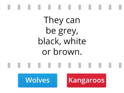 AS2 U1 Wolves VS Kangaroos 