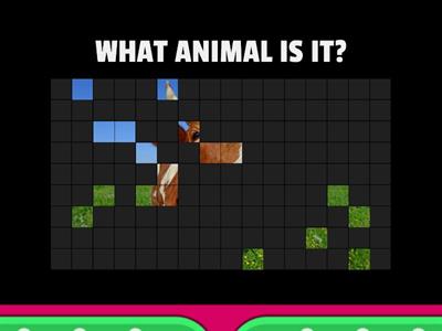 ANIMALS AND ACTIONS KIDS 2