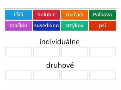 Privlastňovacie prídavné mená - rozdelenie do skupín