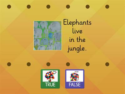 True or False About Elmer and Elephants