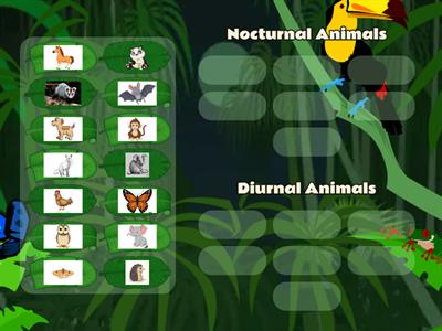 Nocturnal and Diurnal animals
