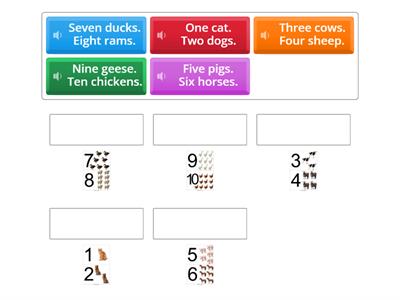 Counting Animals