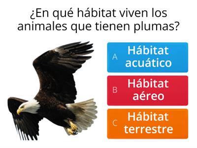 habitat y caracteristicas de animales