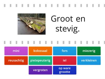 Staal Klein 5 (Groep 4)