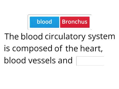 CIRCULATORY SYSTEM-Describe the blood circulatory system