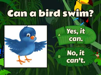 can a bird..?