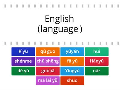 Y6 Language - pinyin & english