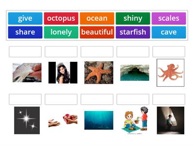 Vocabulary The Rainbow Fish