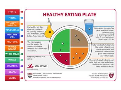 Healthy Eating Plate - CLASSI APERTE