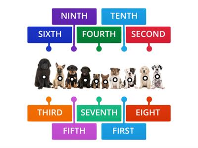 Ordinal Numbers 1st-10th