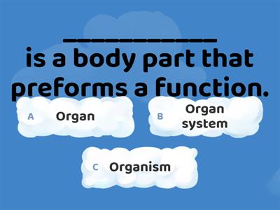 Respiratory System 