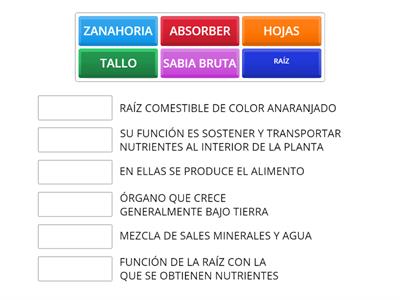 Las plantas y sus partes