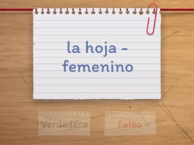 ¿Masculino o femenino?