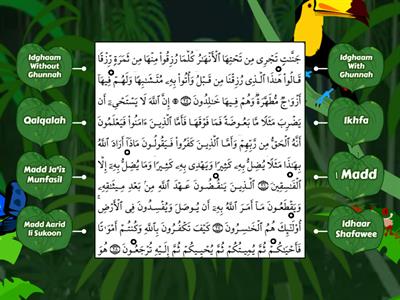 Tajweed Rules F12 