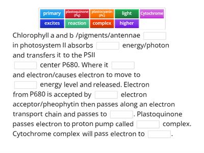 Discuss the electron flow through Photosystem II in plants