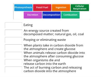 Carbon Cycle Vocabulary