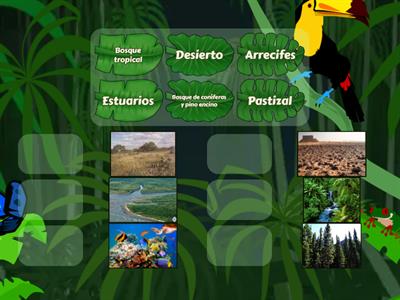 Los ecosistemas de México y su aprovechamiento