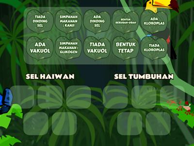 PERBEZAAN SEL HAIWAN DAN TUMBUHAN