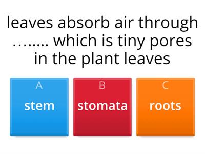 Science: Plants Quiz