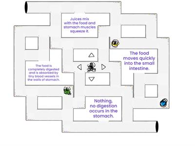 REVIEWING PREVIOUS LESSON (PRIOR KNOWLEDGE)-QUIZ SHOW