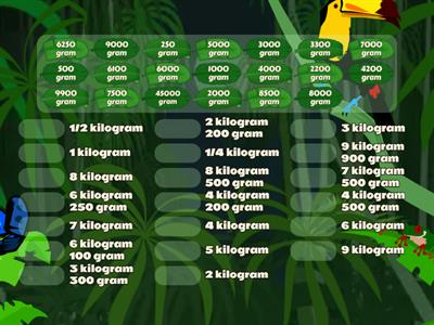  Kilogram- Gram ( 6 MAYIS ) 