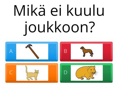 Mikä ei kuulu joukkoon?