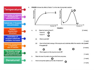 Factor that affecting the rate of enzymatic reaction