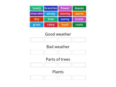 Team up 3 ( Unit 6) Plants, prats of trees, weather