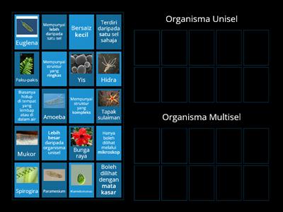 2.1.4 Organisma Unisel dan Organisma Multisel