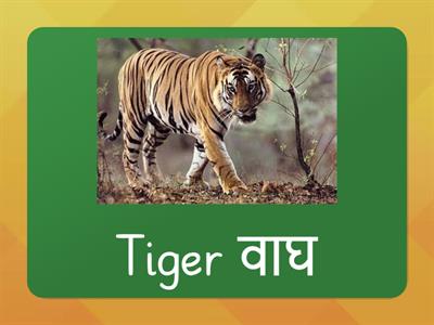 Animal Cards Marathi_3__