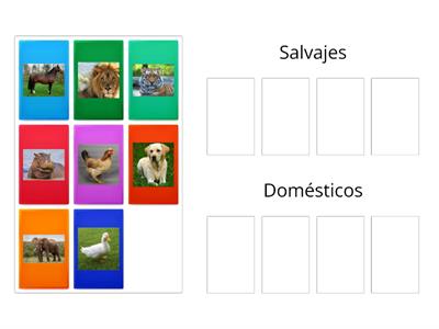 Animales salvajes y domésticos 