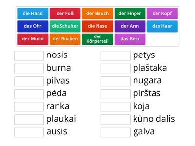 Was passt zusammen (Körperteile)