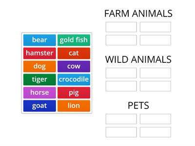 Animal categories