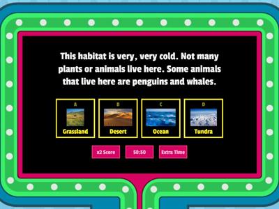 Game Show Habitats Review