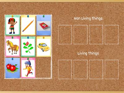 Living and non-Living sorting