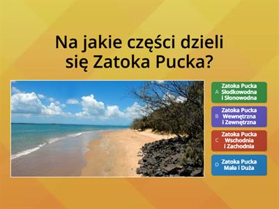 Quiz o Zatoce Puckiej- autor Bartosz Goszczko kl. VI A